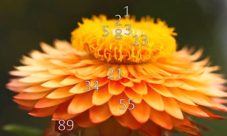 6e40839cfc5f6a4d9c3e75fb92227286_1756639700_4782.jpg
