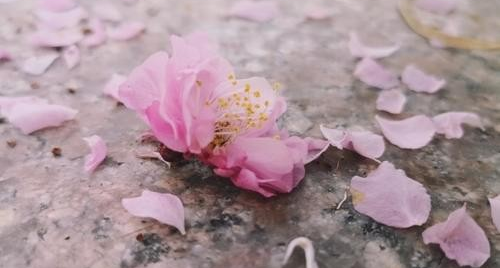 c05e2929bc78a48759aaf1efa28371a5_1770962128_3046.png c05e2929bc78a48759aaf1efa28371a5_1770962128_3046.png