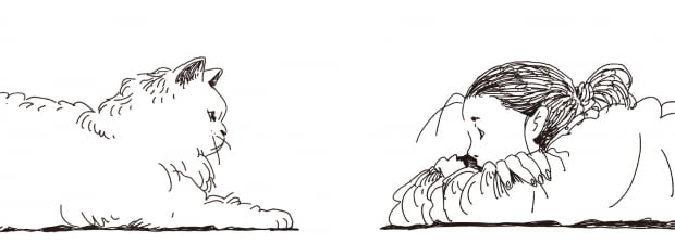 c05e2929bc78a48759aaf1efa28371a5_1770962214_4818.jpg c05e2929bc78a48759aaf1efa28371a5_1770962214_4818.jpg