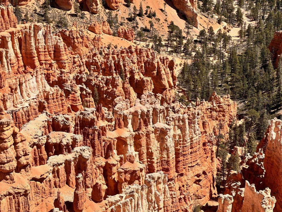 26e62f1c675f8ee337989ed1e2ff17be_1790462634_818.jpg